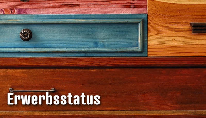 Dossier Erwerbsstatus5