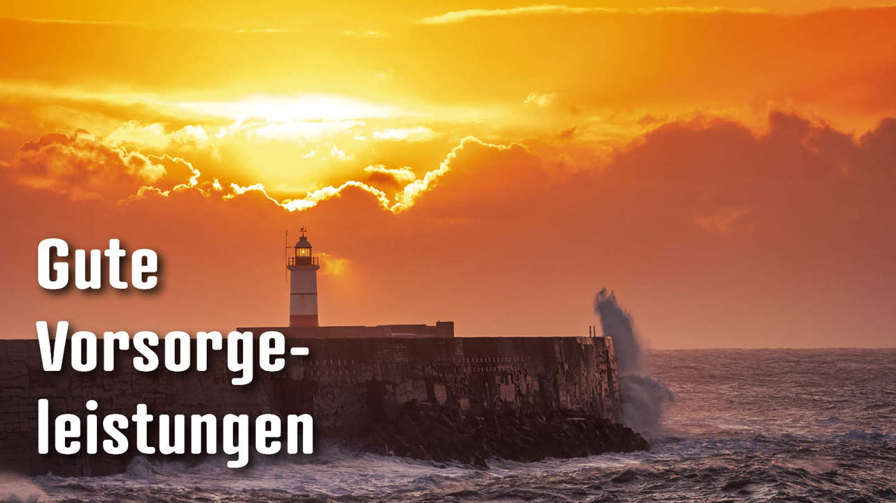 Dossier Gutevorsorgeleistungen2