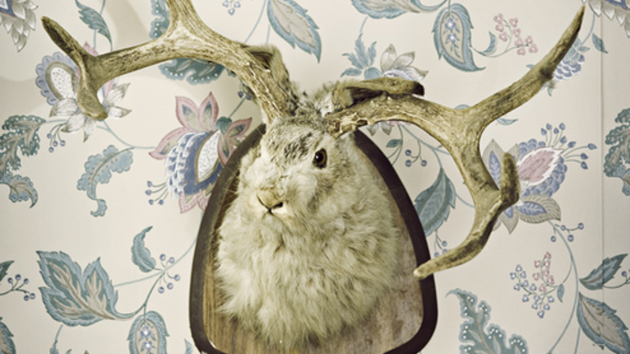 Wolpertinger Geweih Hase Wandschmuck Istock 157393939