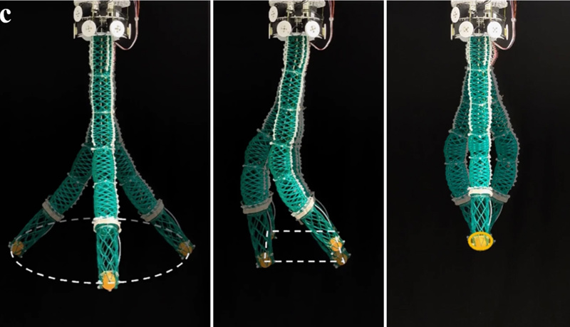 EPFL Ruesselrobotter 44182 2023 4 Fig7 Web