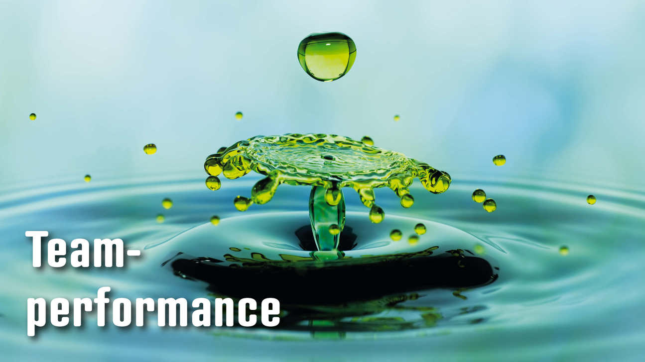 Dossier Teamperformance5