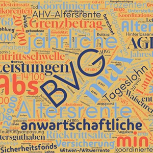 BVG-Kennzahlen 2025 auf einen Blick BVG-Kennzahlen 2025 auf einen Blick
