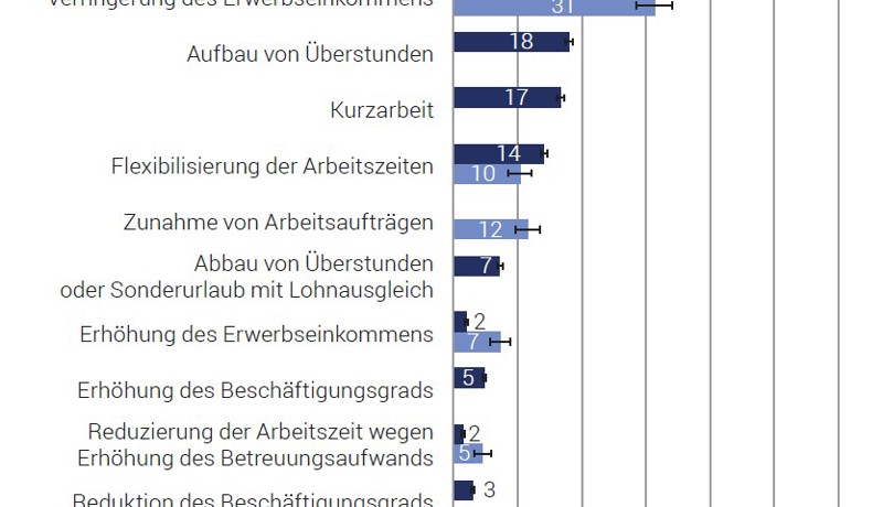 BFS 2000 Auswirkung Der Pandemie Nach Anstellungsform