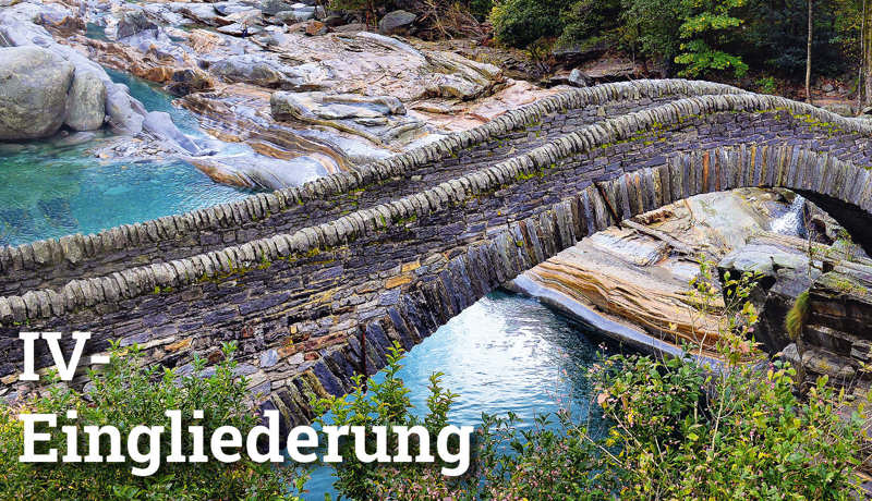 Fokus Iveingliederung3
