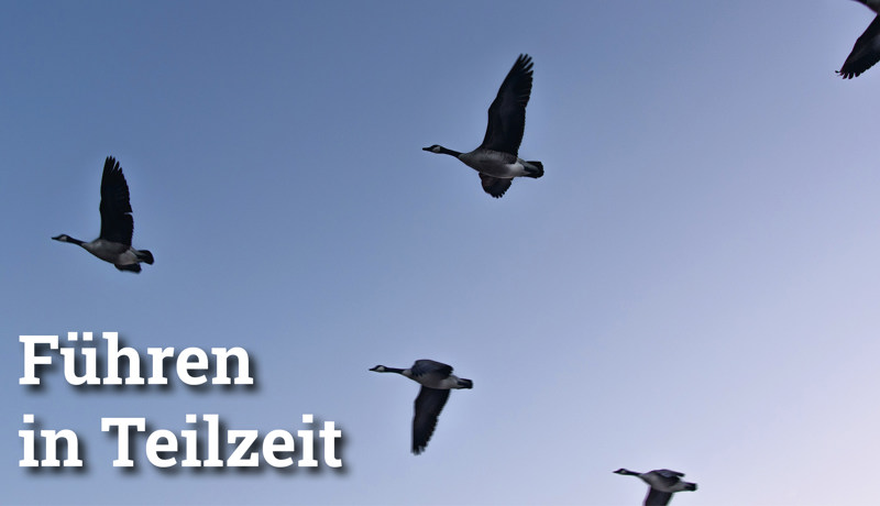 Fokus Führeninteilzeit4