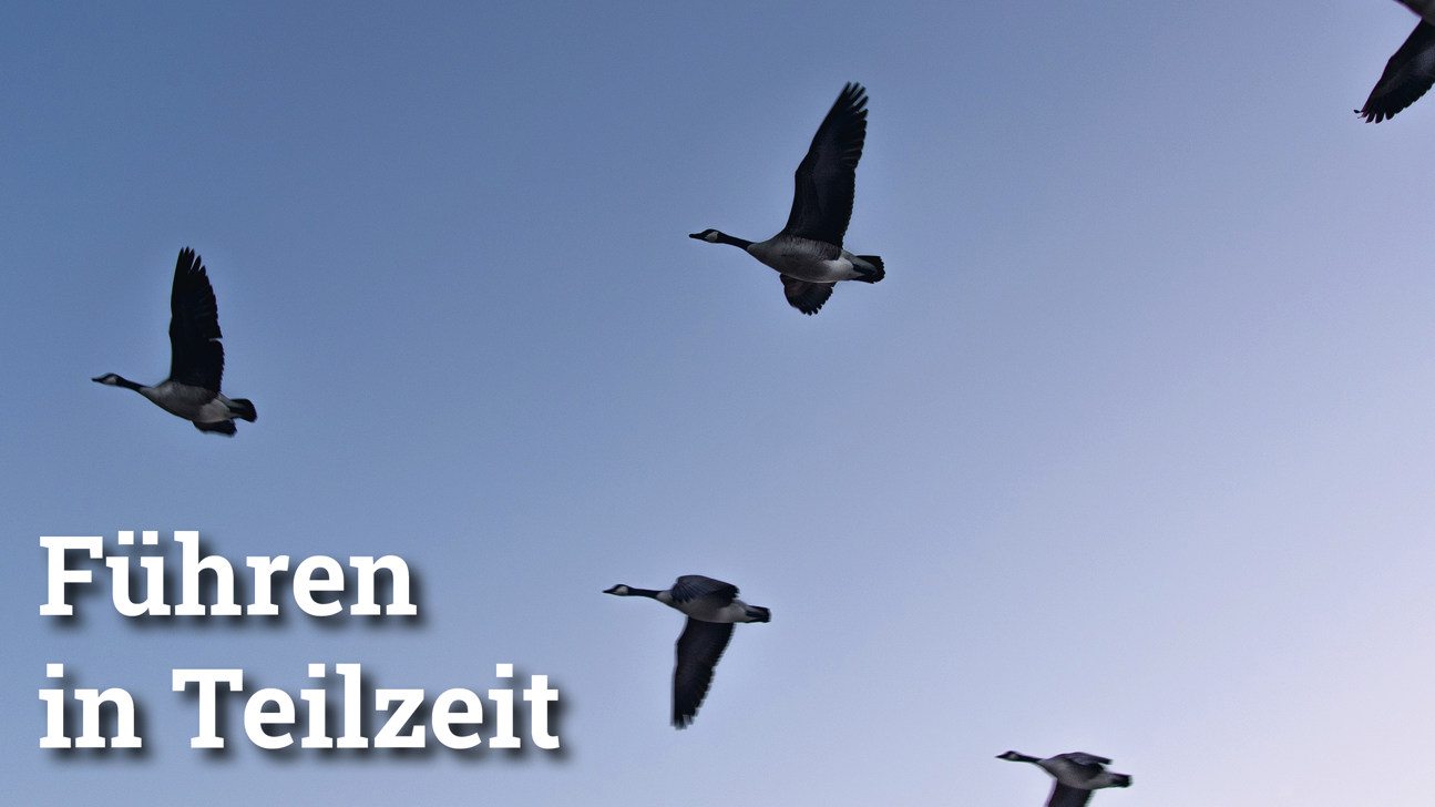 Fokus Führeninteilzeit4