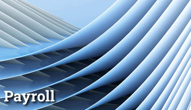 Fokus Payroll4