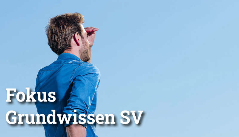 Fokus Grundwissensv4