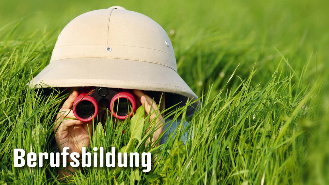 Dossier Berufsbildung3