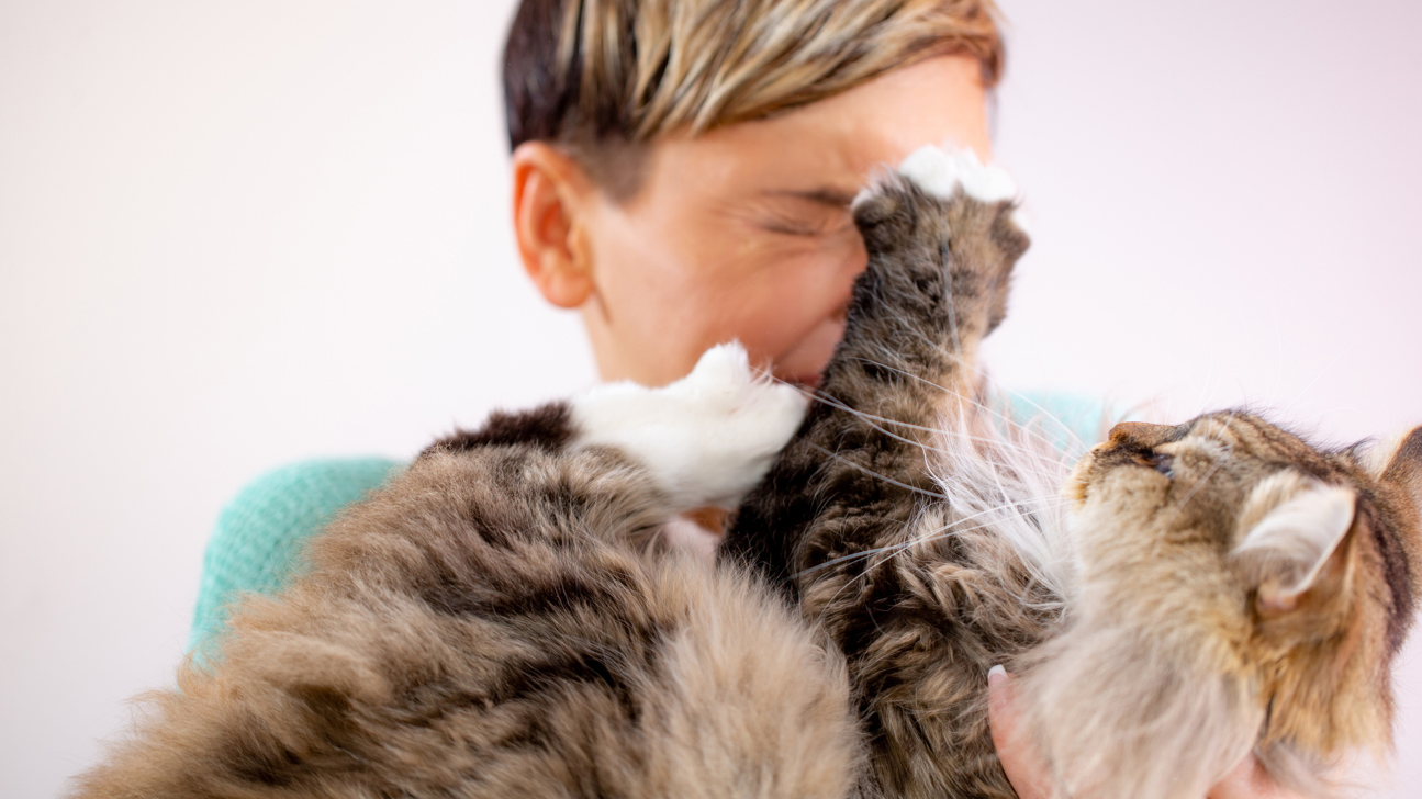 Katze Kratzt Mensch Istock 1139569354