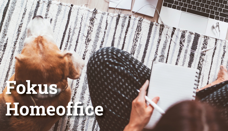 Fokus Homeoffice3