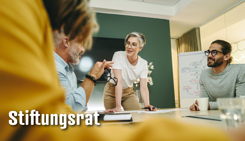 Dossier Stiftungsrat2