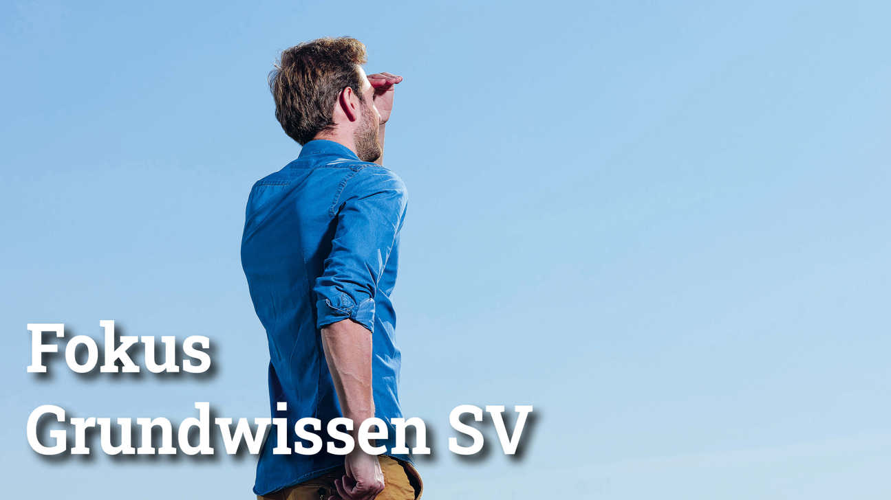 Fokus Grundwissensv3