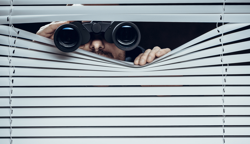 Observation Feldstecher Sozialbetrug Istock 828418958 D Keine
