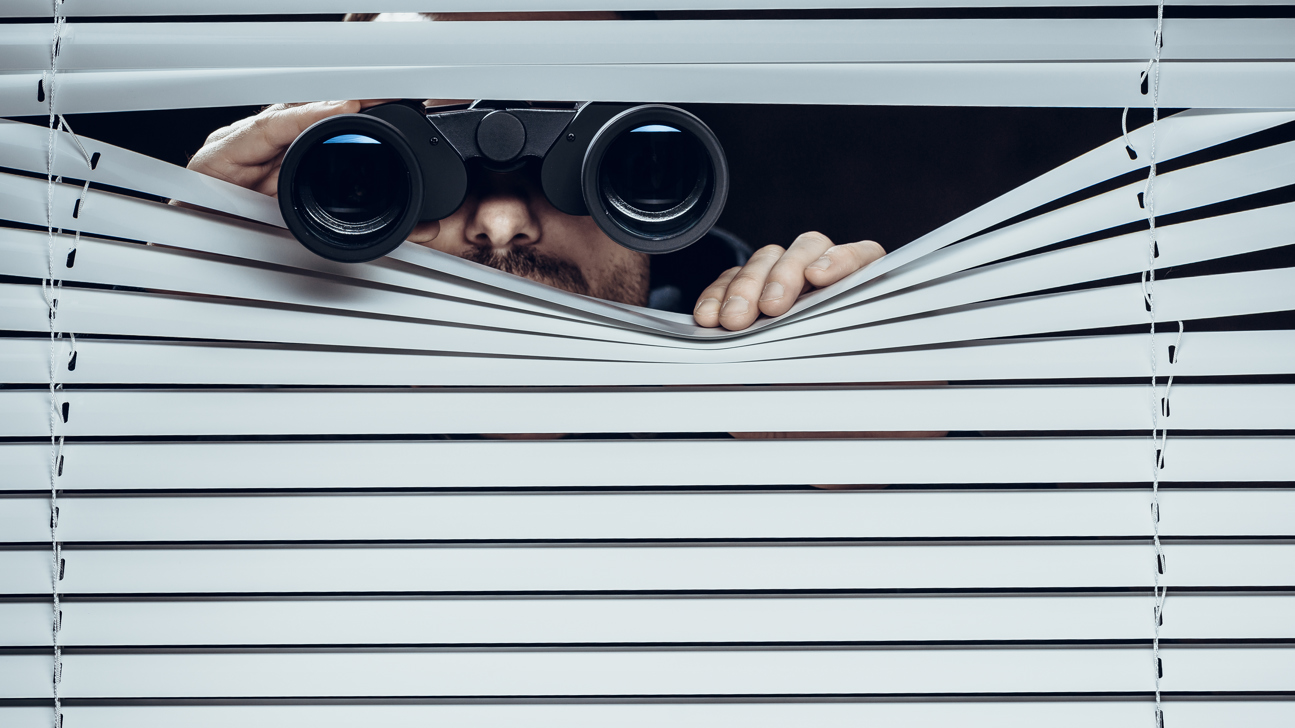 Observation Feldstecher Sozialbetrug Istock 828418958 D Keine