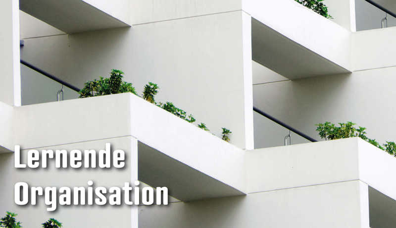 Dossier Lernendeorganisation2