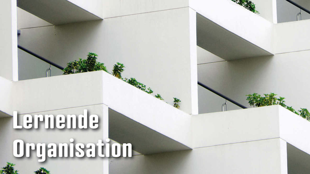 Dossier Lernendeorganisation2