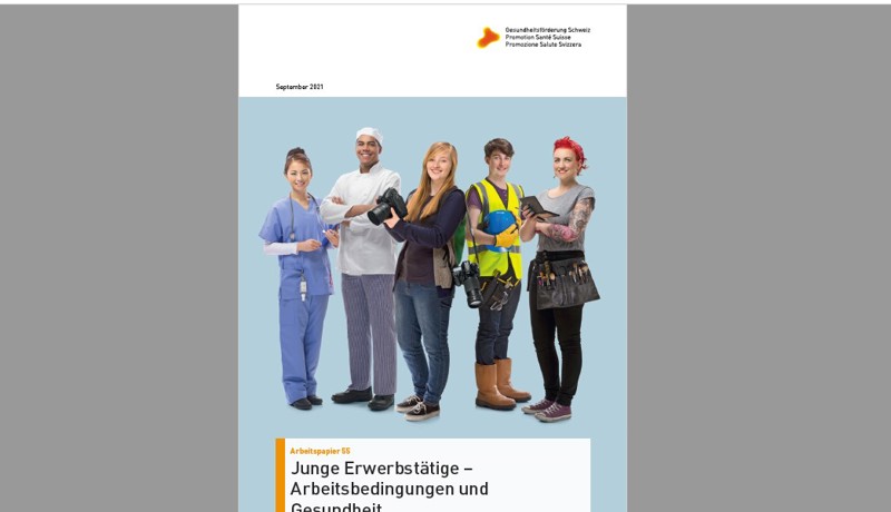 Screenshot Cover Arbeitspapier55