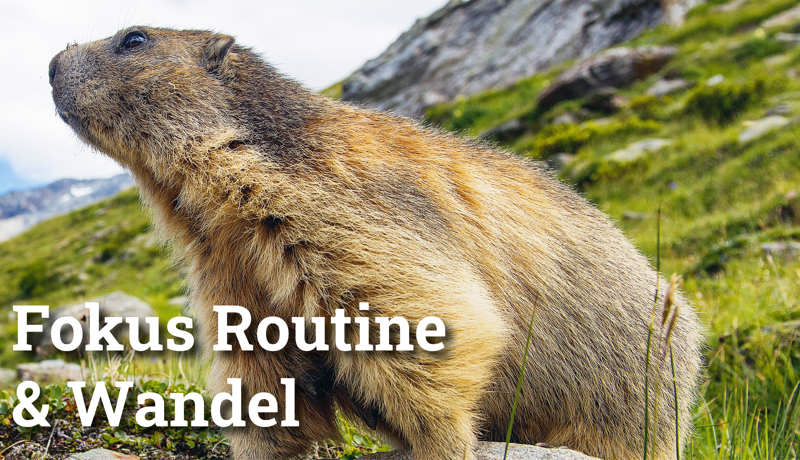 Fokus Routine4