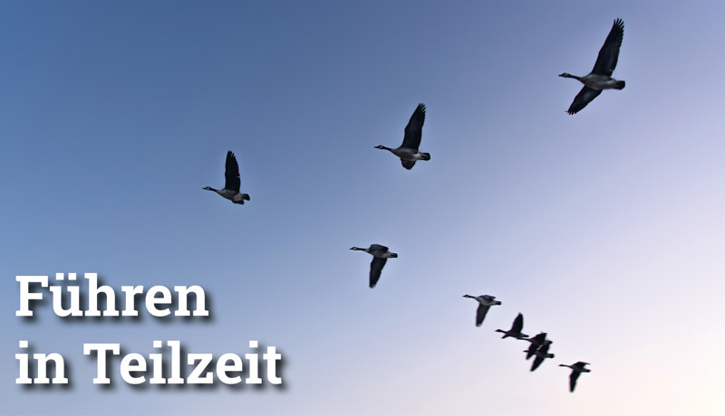 Fokus Führeninteilzeit2