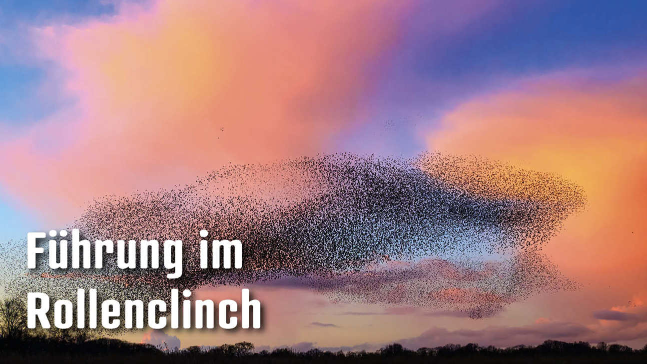 Dossier Führungimrollenclinch2