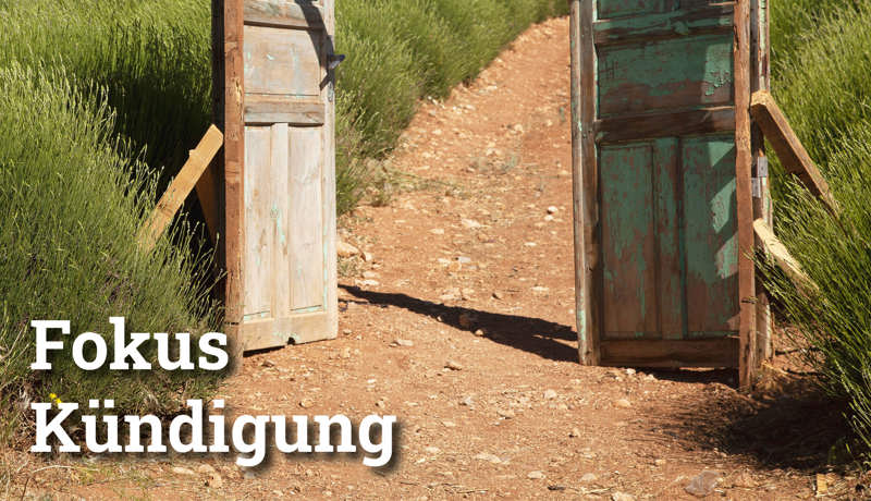 Fokus Kündigung4
