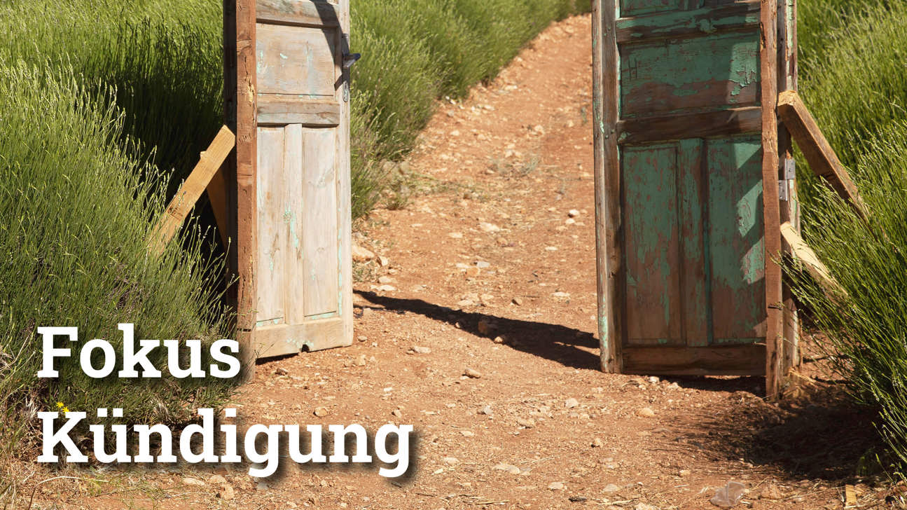 Fokus Kündigung4
