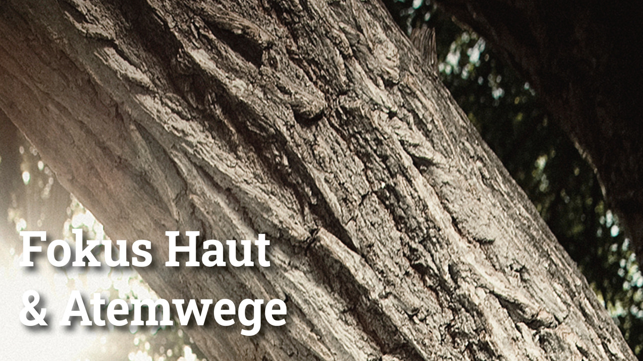 Fokus Hautatemwege5