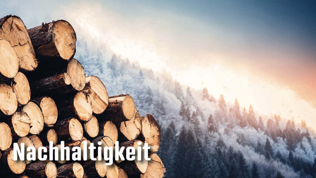 Dossier Nachhaltigkeit3