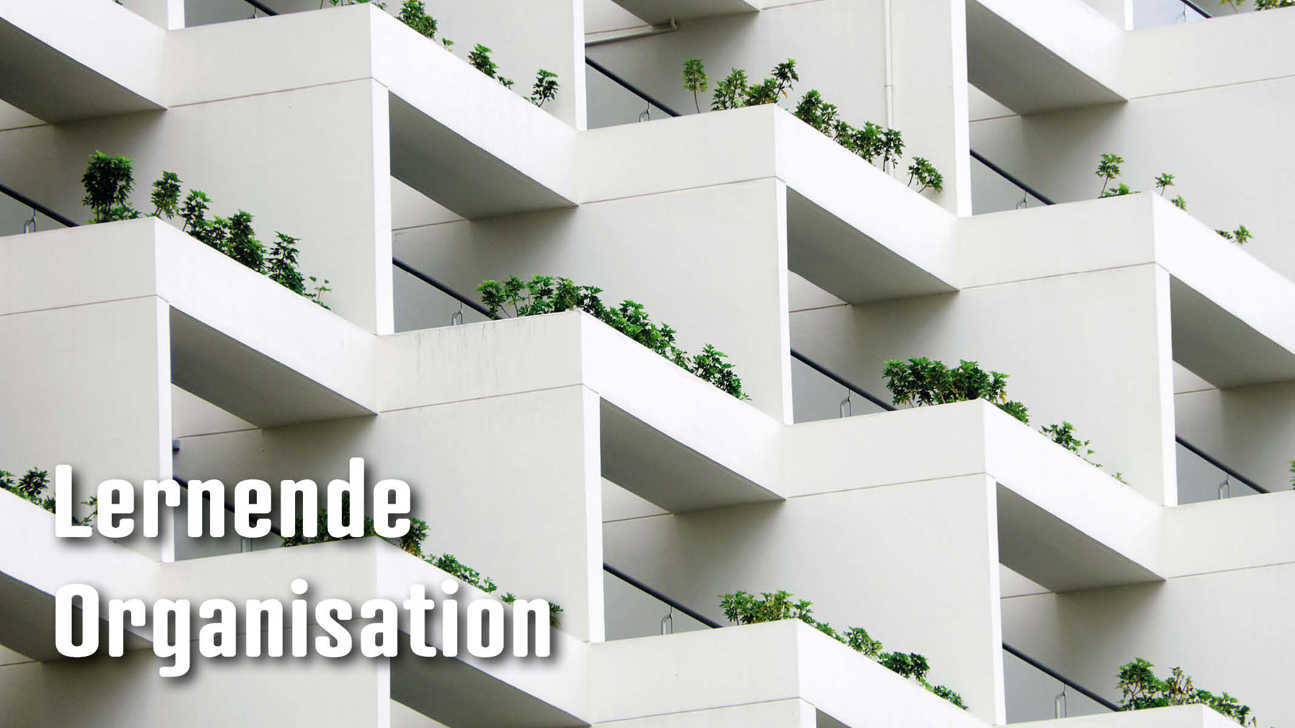 Dossier Lernendeorganisation3