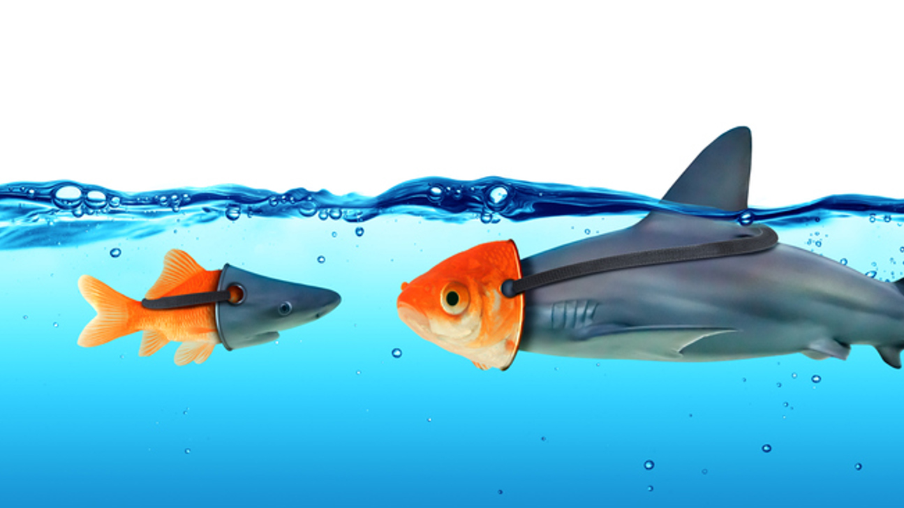 Maskierterfisch Betrug Istock 534192884