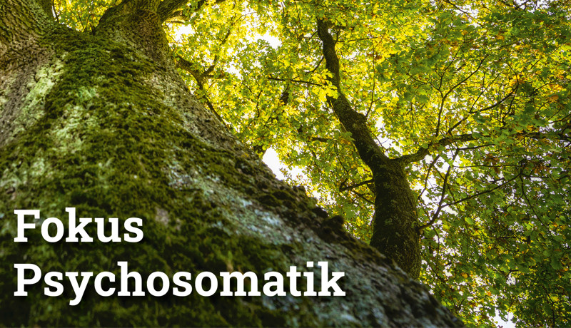 Fokus Psychosomatik3