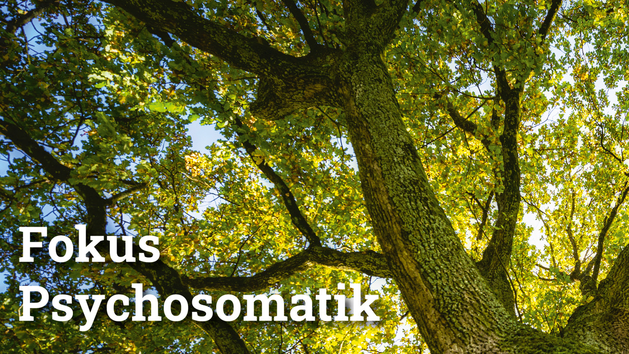 Fokus Psychosomatik4