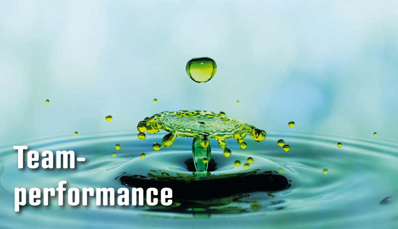 Dossier Teamperformance2