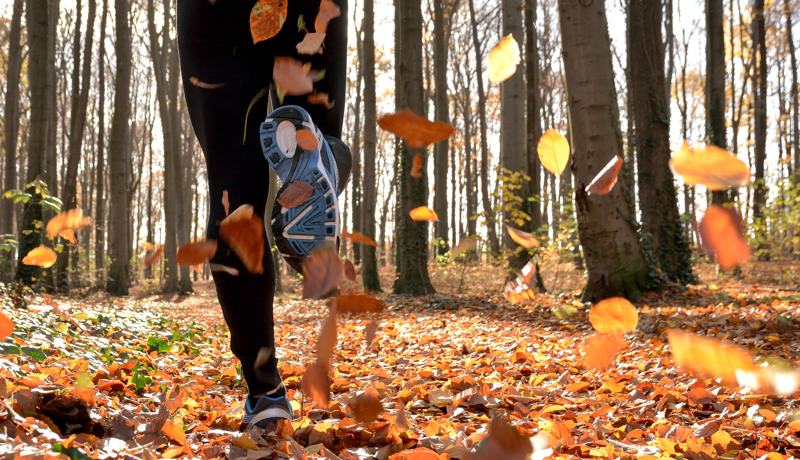 Joggen Wald Herbst Istock 496309594