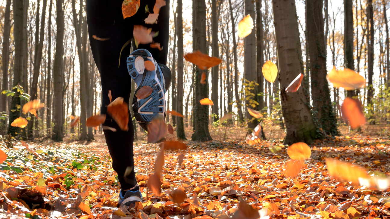 Joggen Wald Herbst Istock 496309594