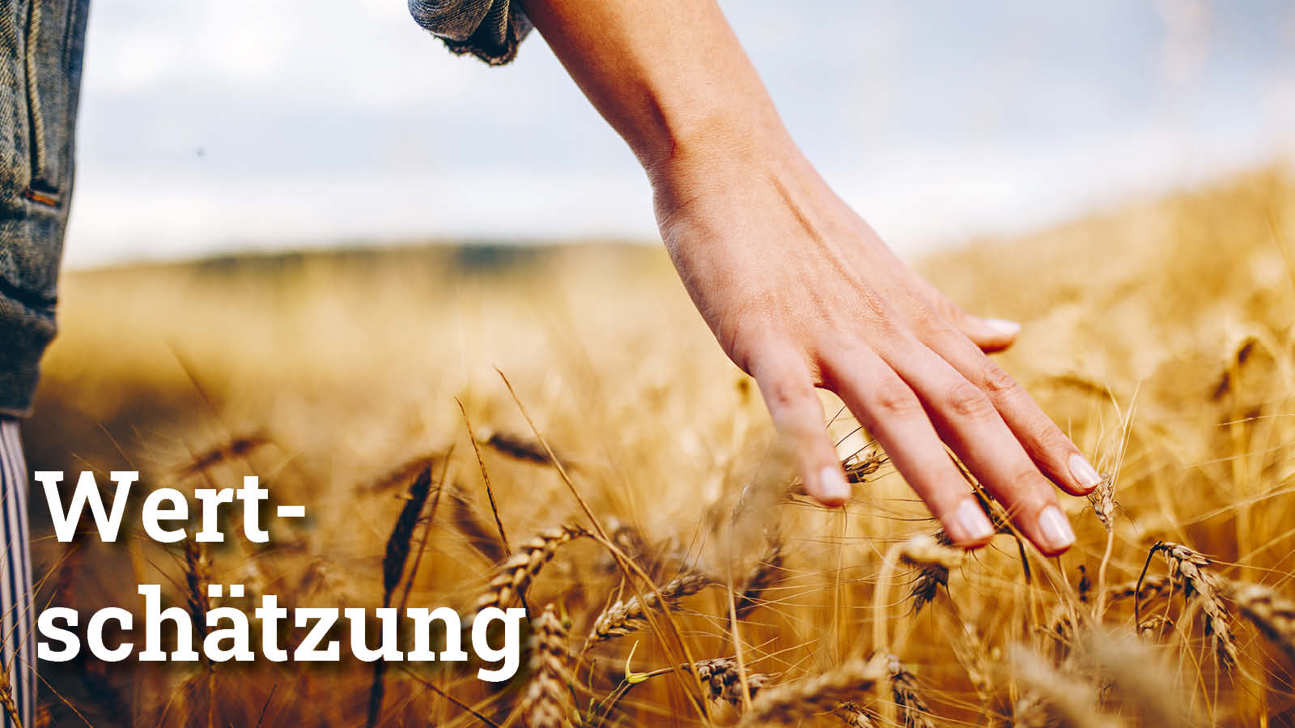 Fokus Wertschätzung3