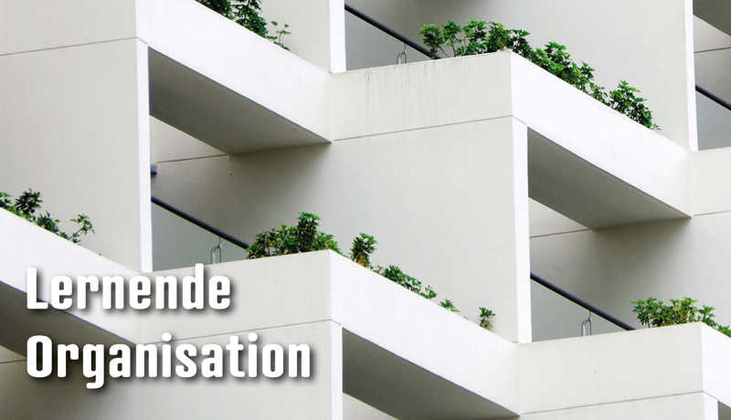 Dossier Lernendeorganisation5