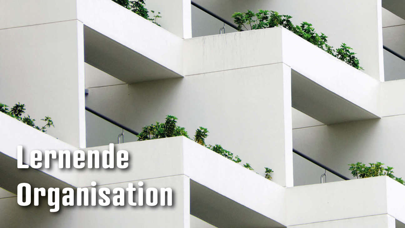 Dossier Lernendeorganisation5