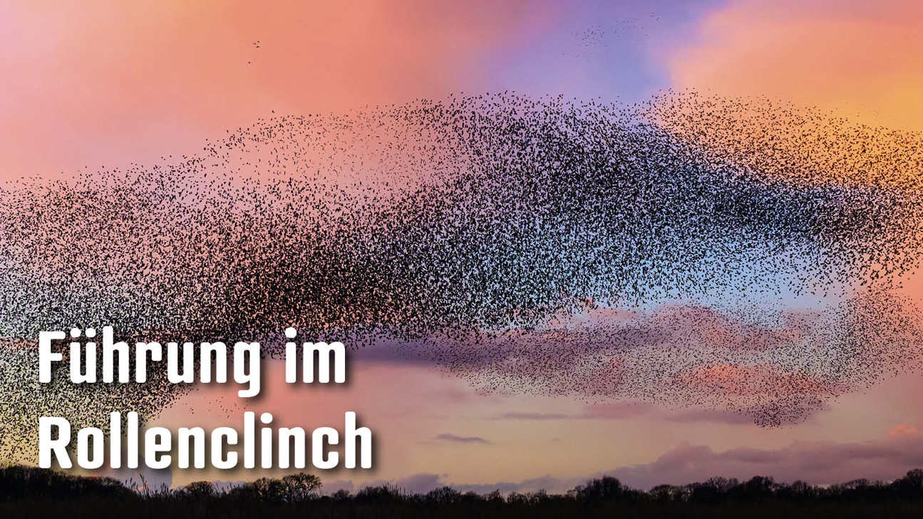 Dossier Führungimrollenclinch3