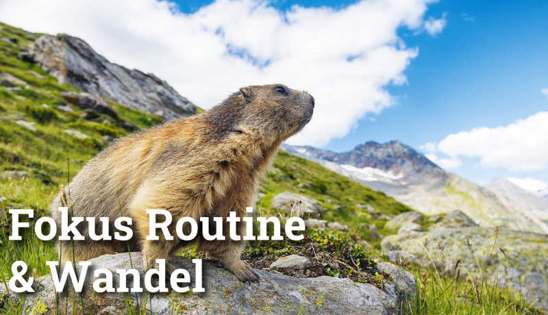 Fokus Routine2