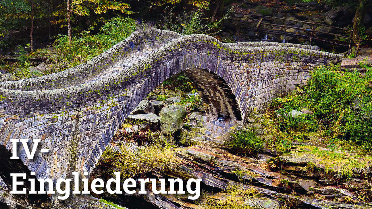 Fokus Iveingliederung4