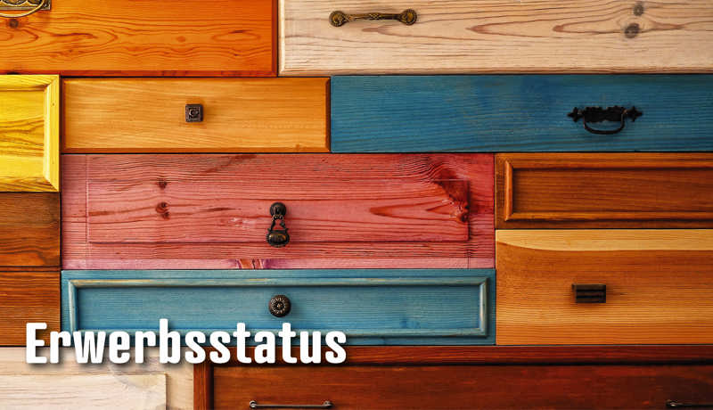 Dossier Erwerbsstatus3