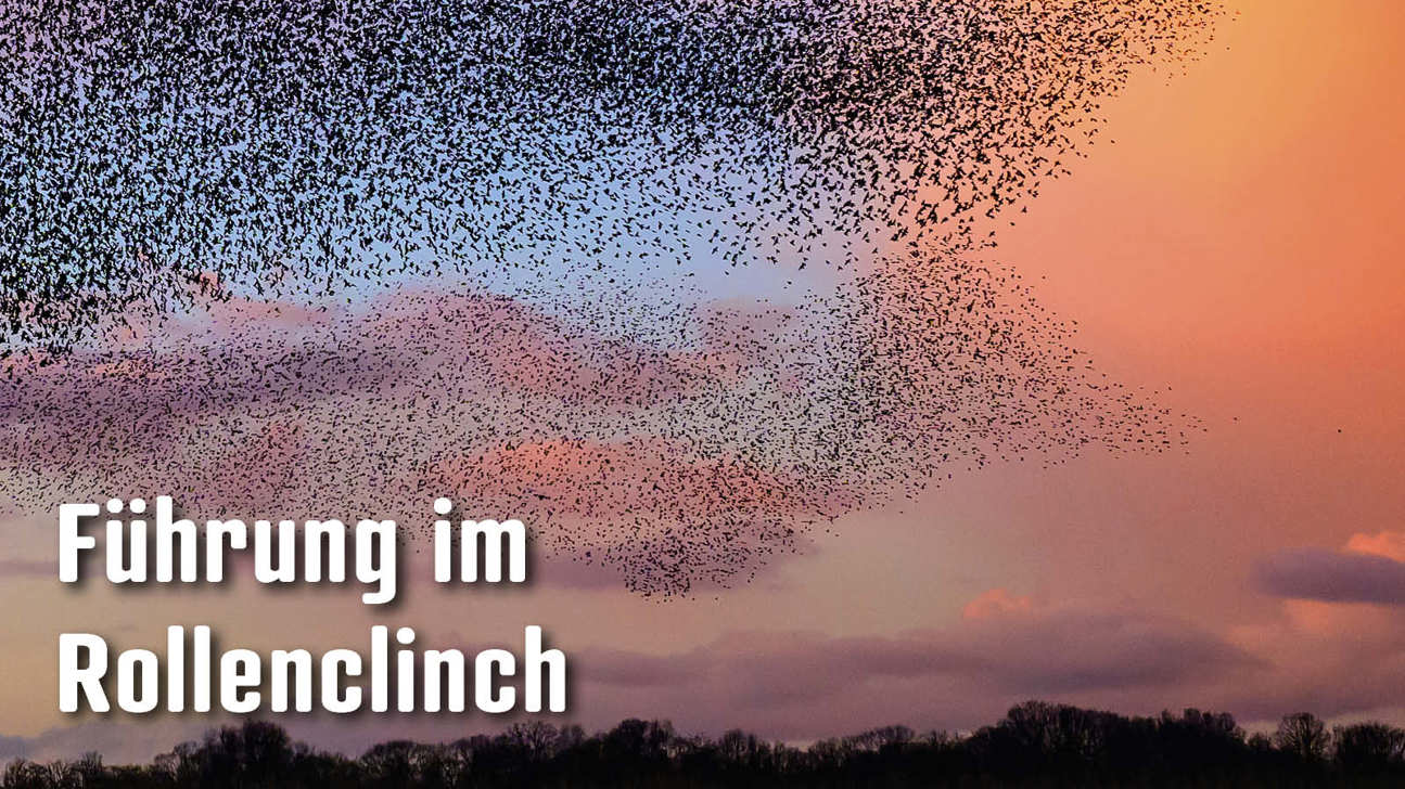 Dossier Führungimrollenclinch5