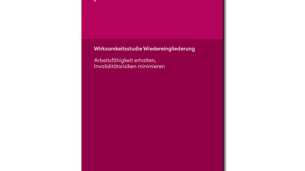 Pkrück Studie Eingliederung