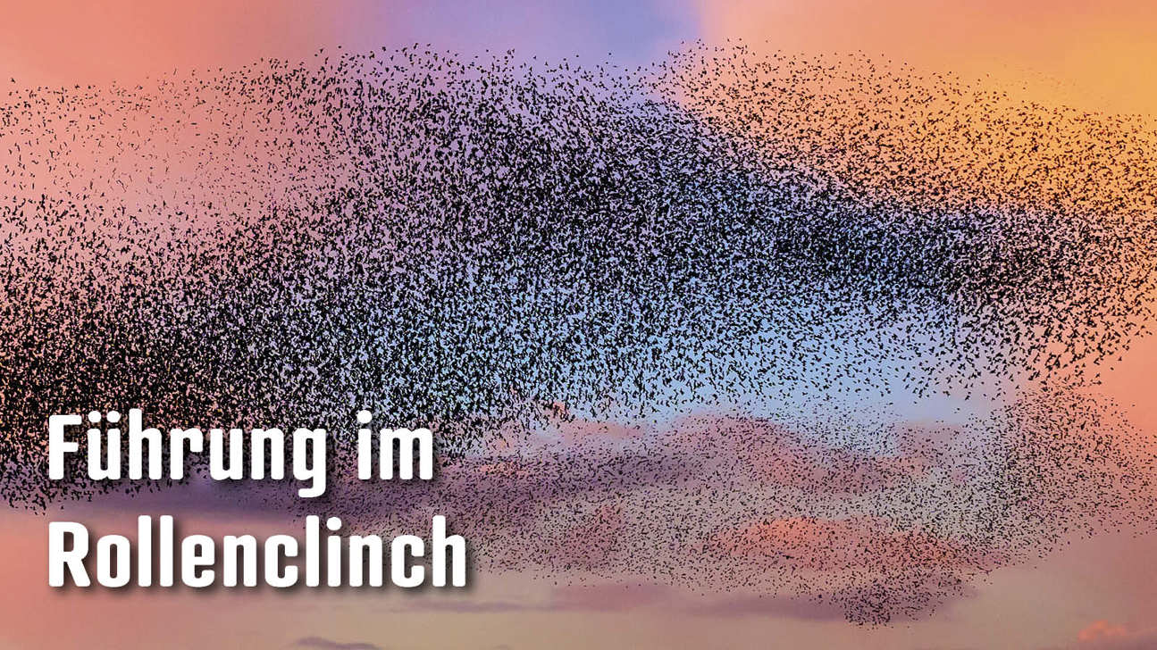 Dossier Führungimrollenclinch4