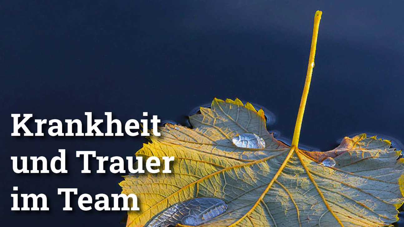 Fokus Krankheittrauer3