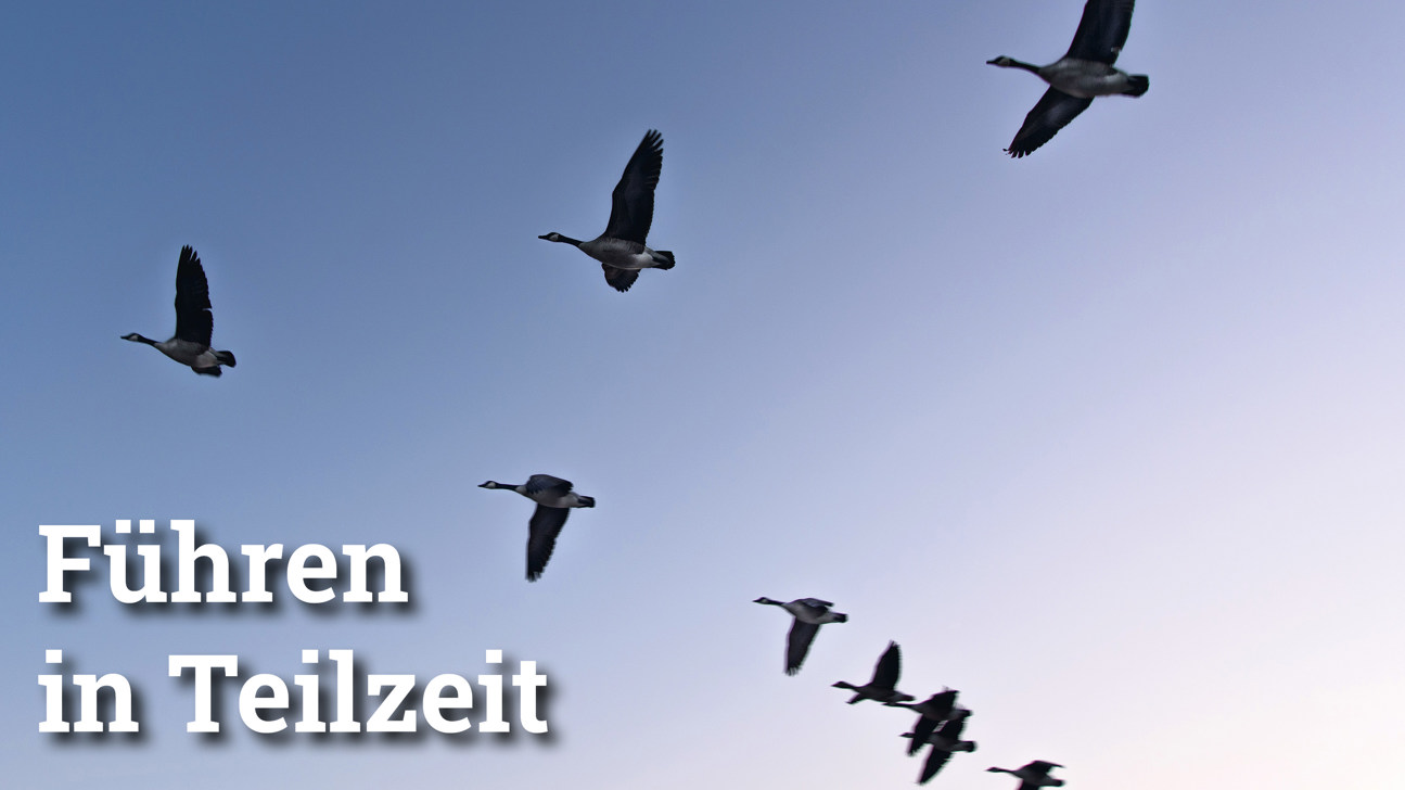 Fokus Führeninteilzeit3